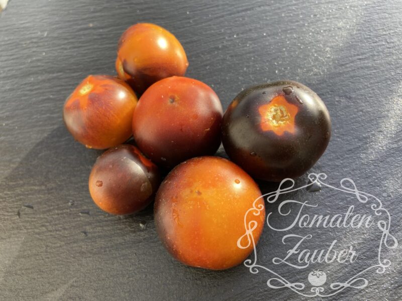Bio-Saatgut Tomate Kaleidoscopic Jewel