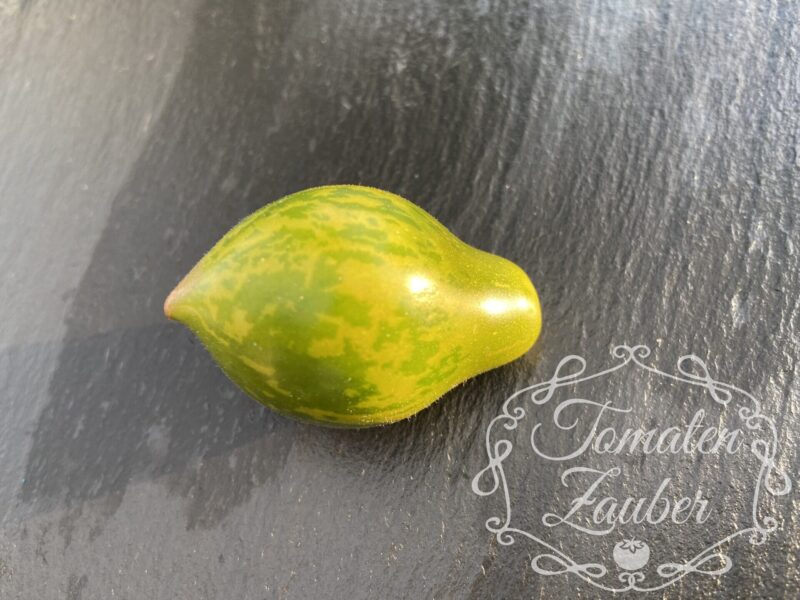 Bio-Saatgut Tomate Michael Pollan (Multiflora) – Bild 2