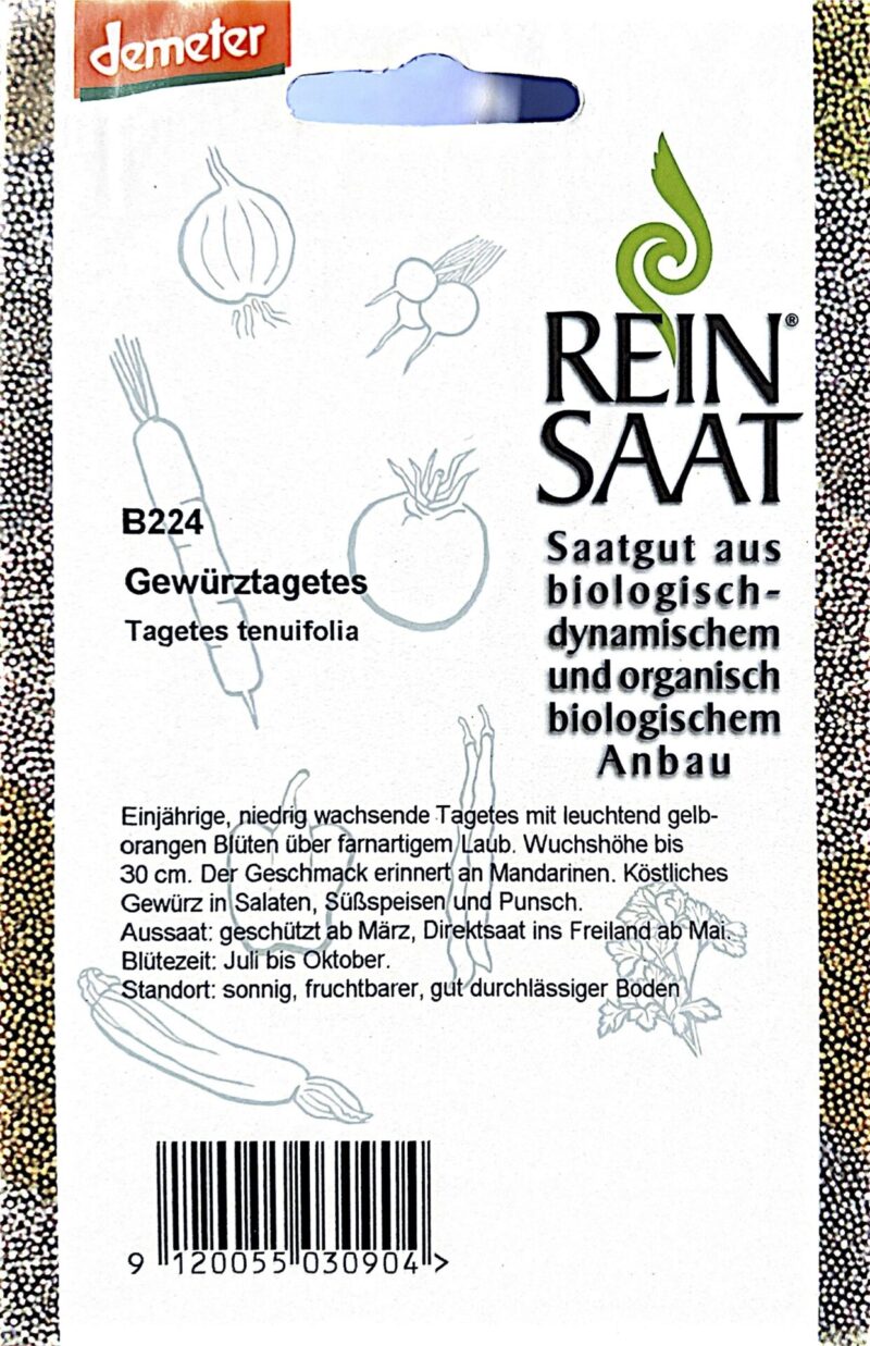 Bio-Saatgut Gewürztagetes – Bild 2