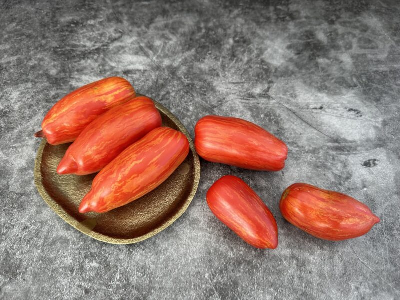 Bio-Saatgut Tomate Roma Strièe – Bild 4