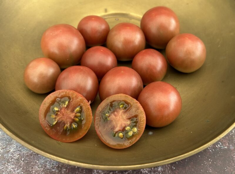 Bio-Saatgut Tomate Black Cherry