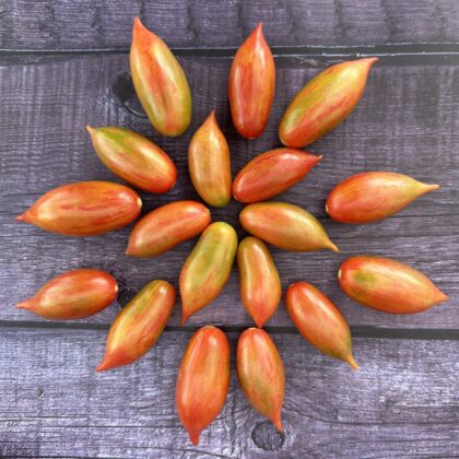 Bio-Saatgut Tomate Pink Tiger