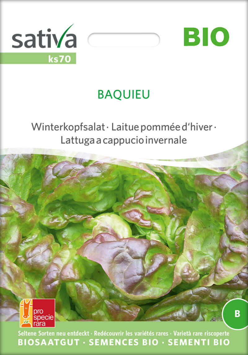 Bio-Saatgut Winterkopfsalat Baquieu