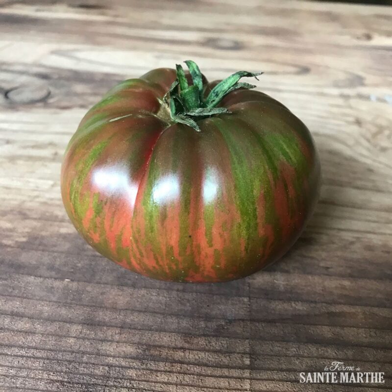 Bio-Saatgut Tomate Berkeley Tie Dye Pink