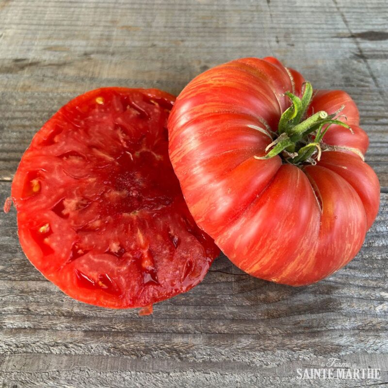 Bio-Saatgut Tomate Pink Jazz