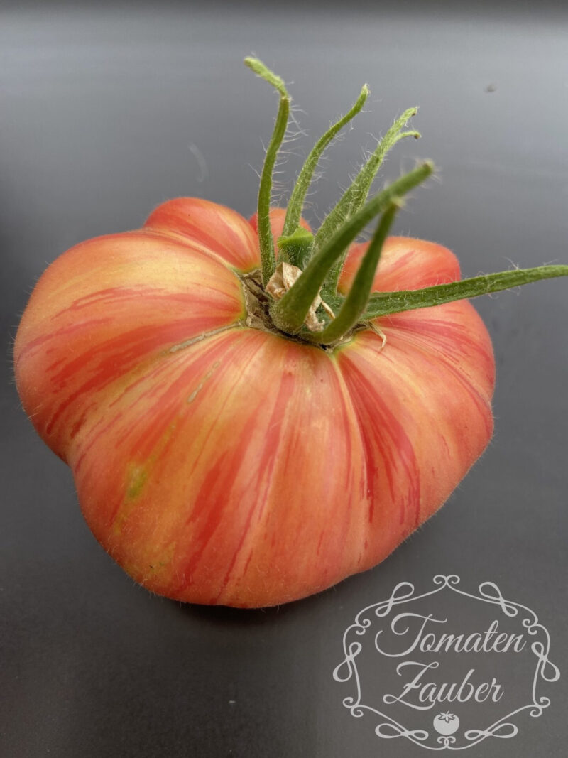 Bio-Saatgut Tomate Pink Jazz – Bild 2