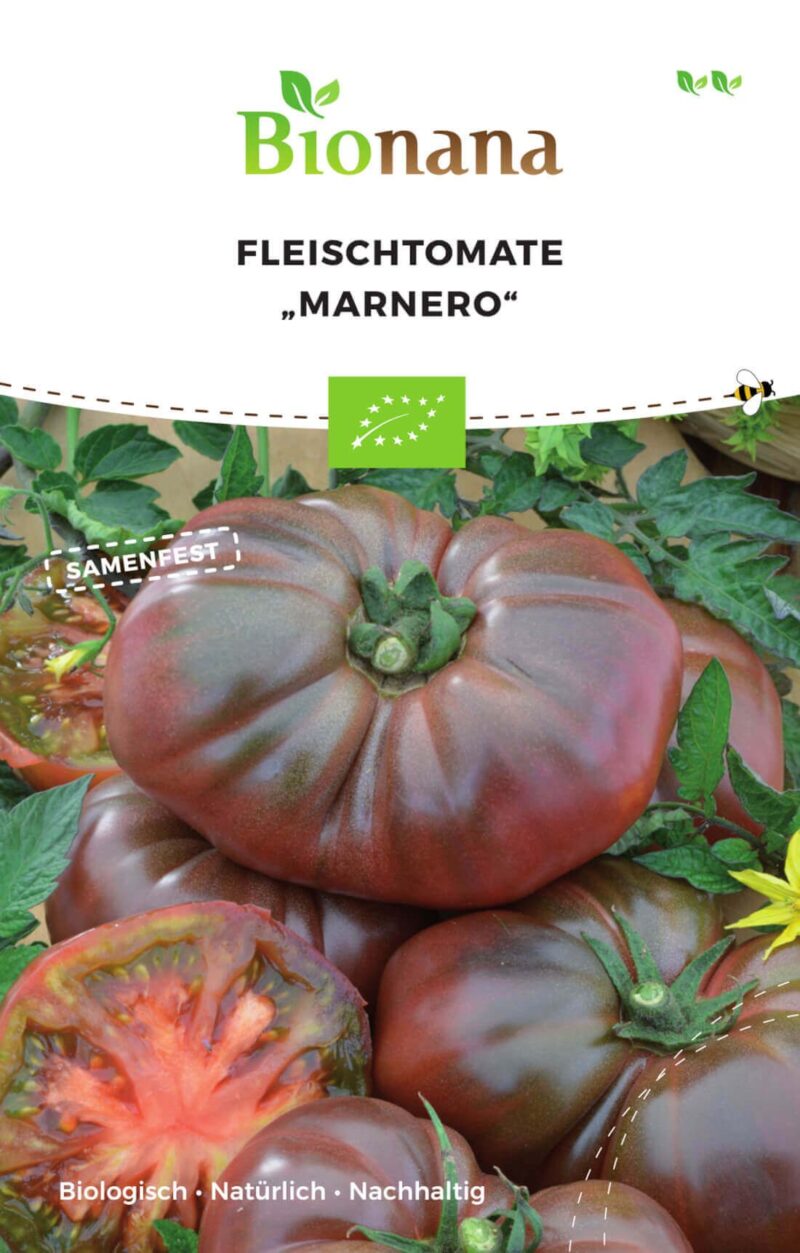 Bio-Saatgut Tomate Marnero – Bild 2
