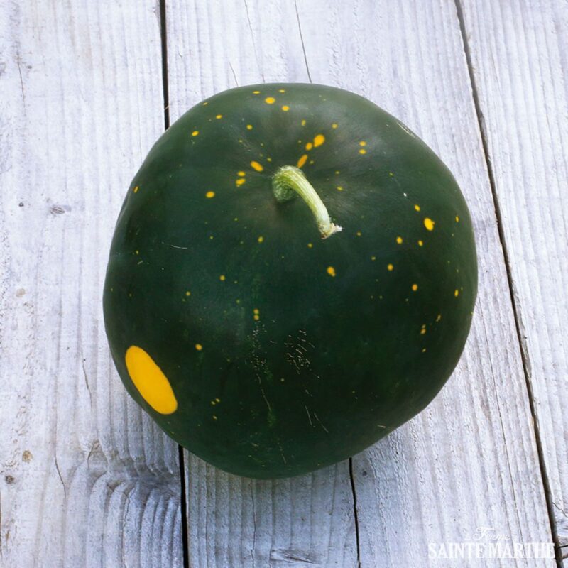 Bio-Saatgut Wassermelone Moon and Stars Red