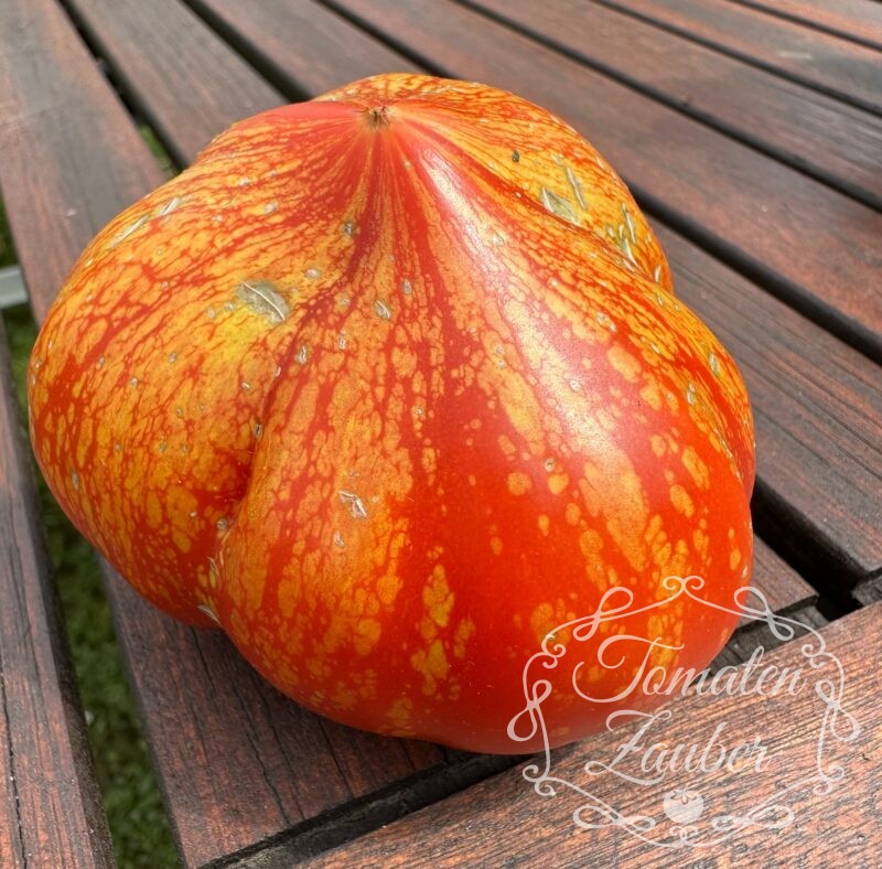 Bio-Saatgut Tomate Feuerwerk