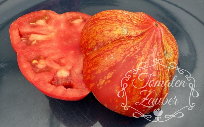 Bio-Saatgut Tomate Feuerwerk – Bild 2