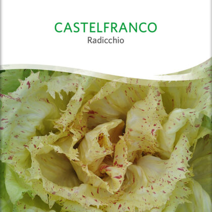 Bio-Saatgut Radicchio Castelfranco