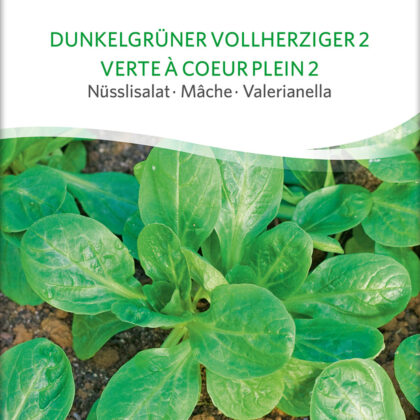 Bio-Saatgut Feldsalat Dunkelgrüner Vollherziger 2