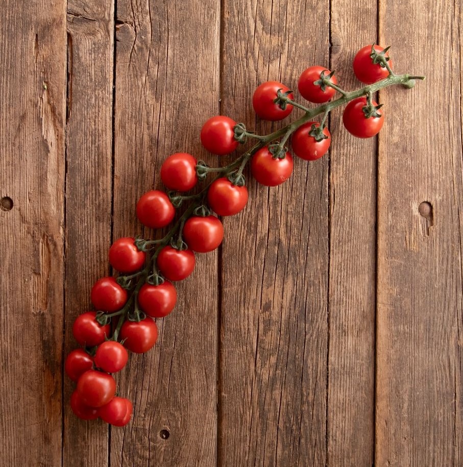 Bio-Saatgut Tomate Tiamarie (KSV-TOT-CHE-Traube) – Bild 3