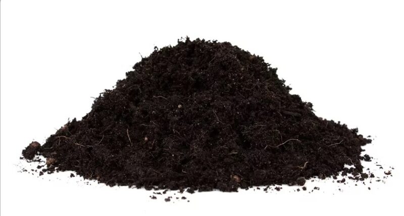 Bio-Anzuchterde "Aromatisch!" von Floragard (10 Liter) | Aussaaterde torffrei & bio – Bild 5