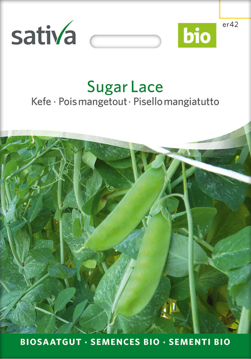 Bio-Saatgut Zuckererbse Sugar Lace (Kefe) – Bild 2