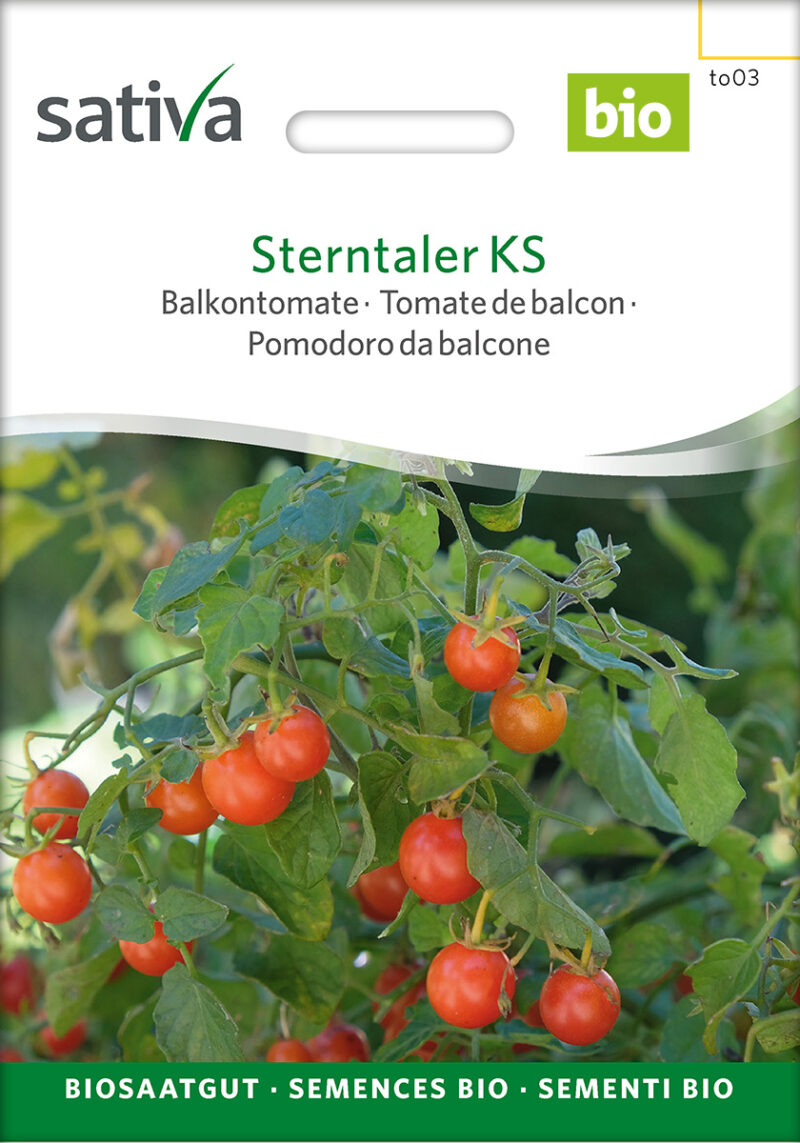 Bio-Saatgut Tomate Sterntaler KS – Bild 2