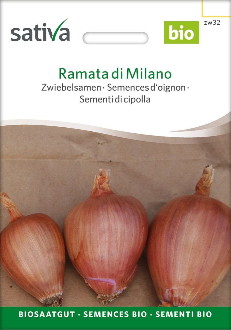 Bio-Saatgut Zwiebel Ramata di Milano – Bild 2