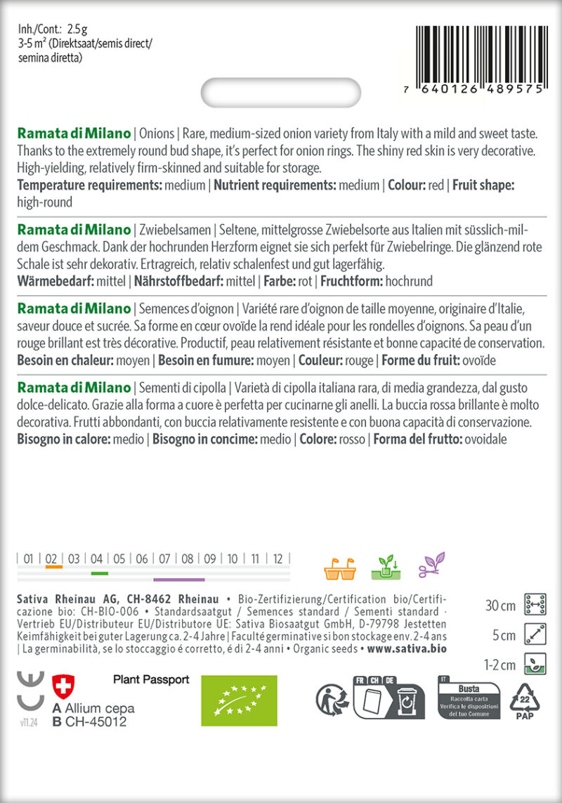 Bio-Saatgut Zwiebel Ramata di Milano – Bild 3
