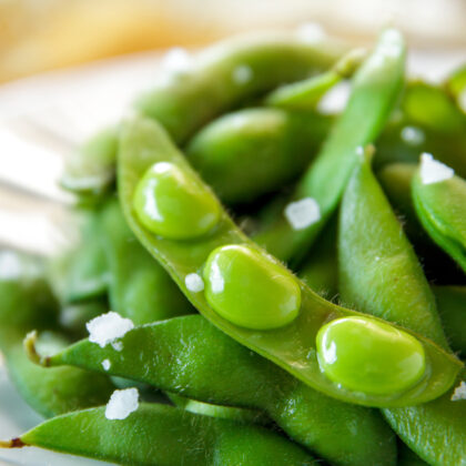 Bio-Saatgut Sojabohne Chiba Green (Edamame)
