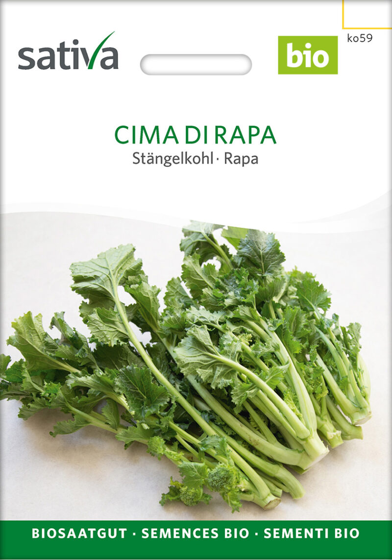 Bio-Saatgut Stängelkohl Cima di rapa – Bild 2