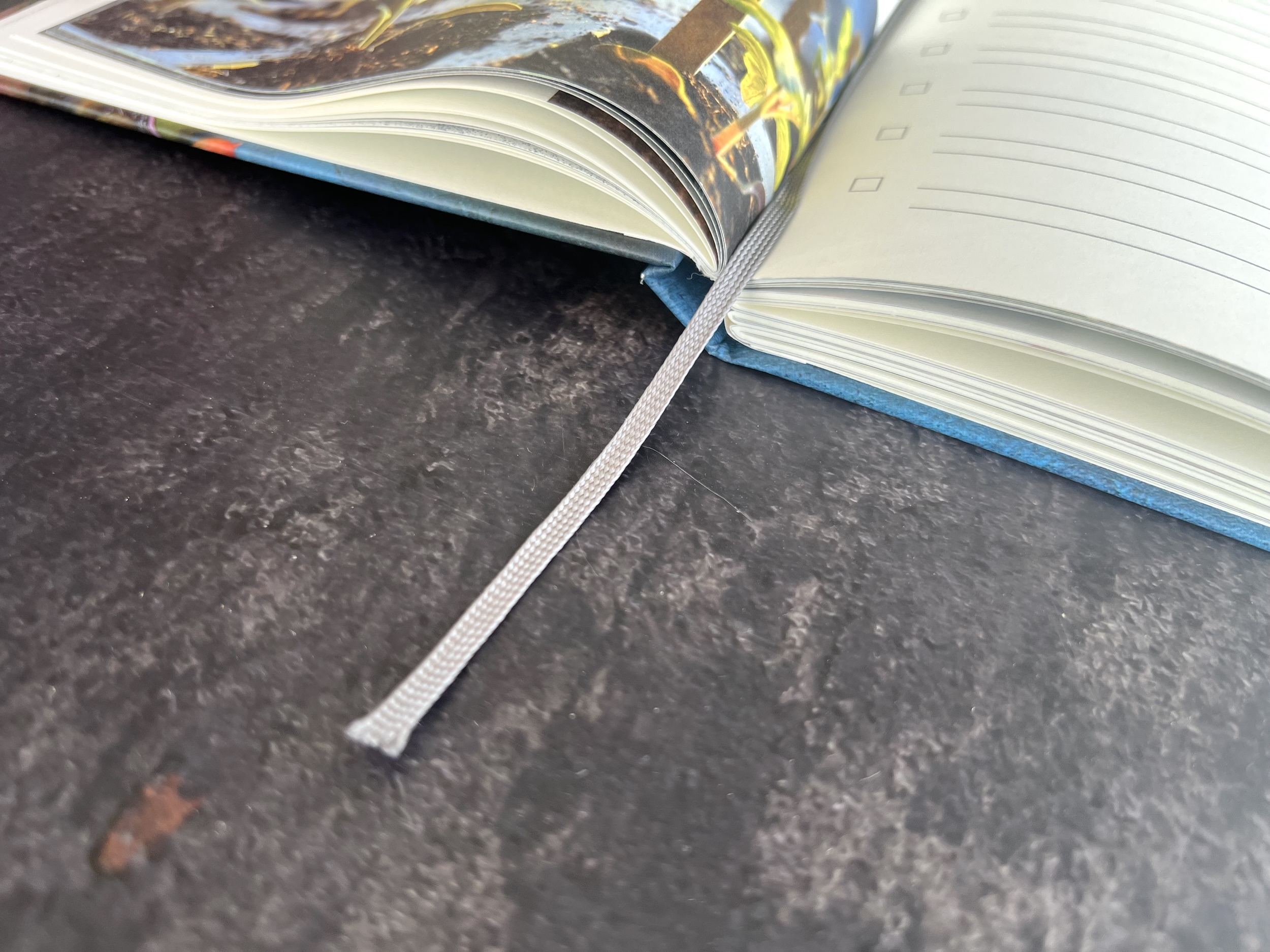 Der Planer für Tomaten und Garten 2026 – Bild 3