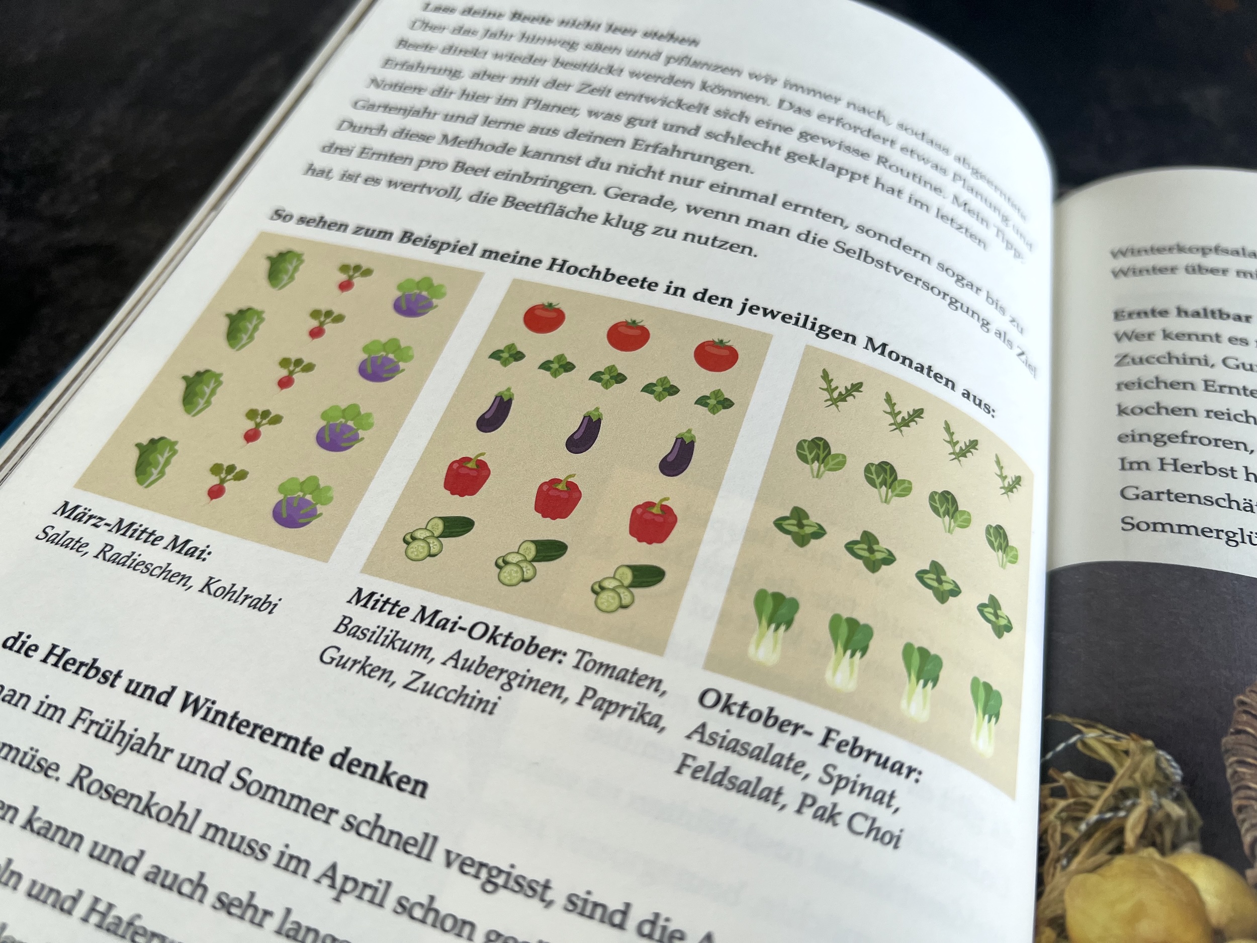 Der Planer für Tomaten und Garten 2026 – Bild 2