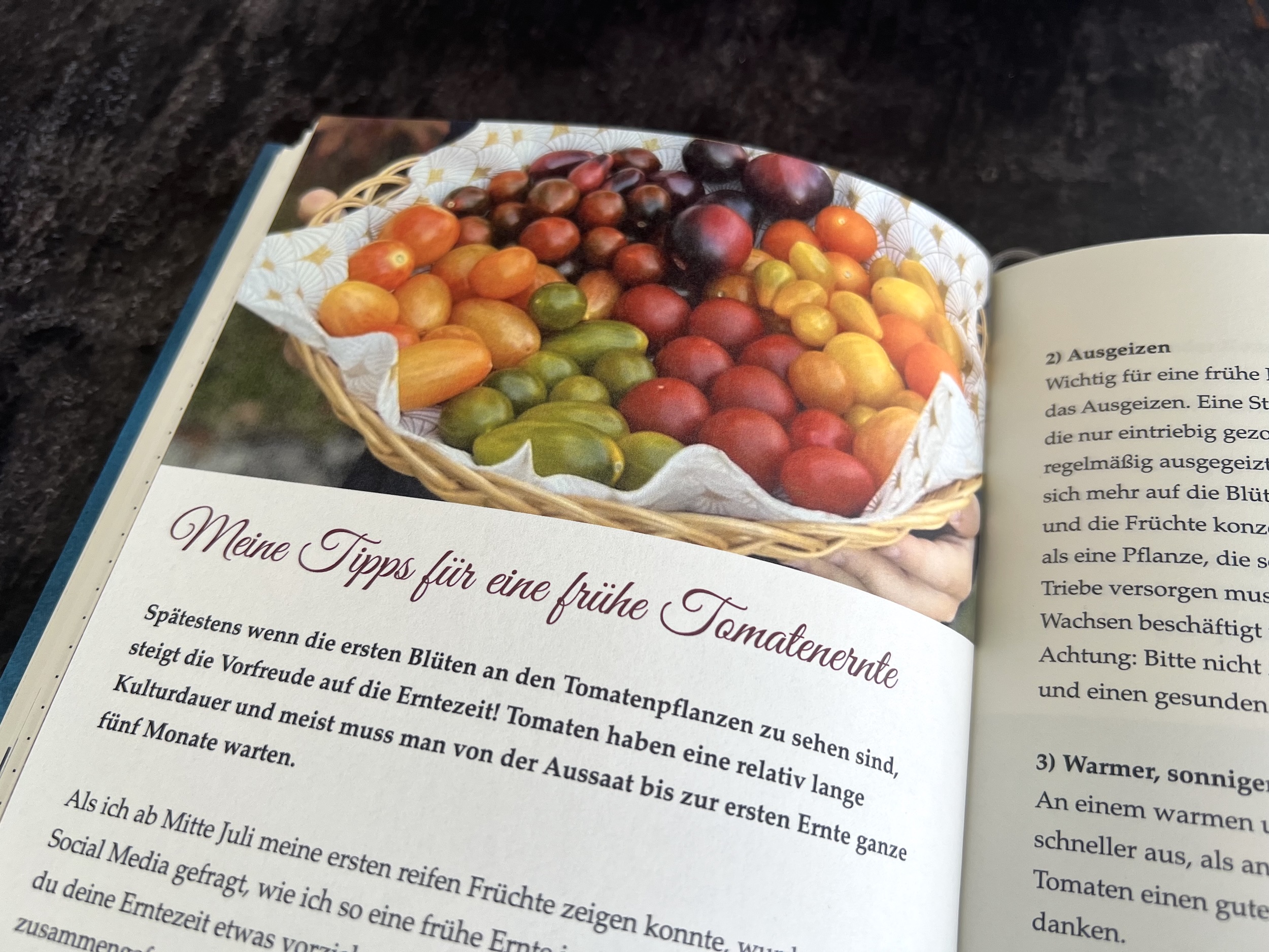 Der Planer für Tomaten und Garten 2026 – Bild 5