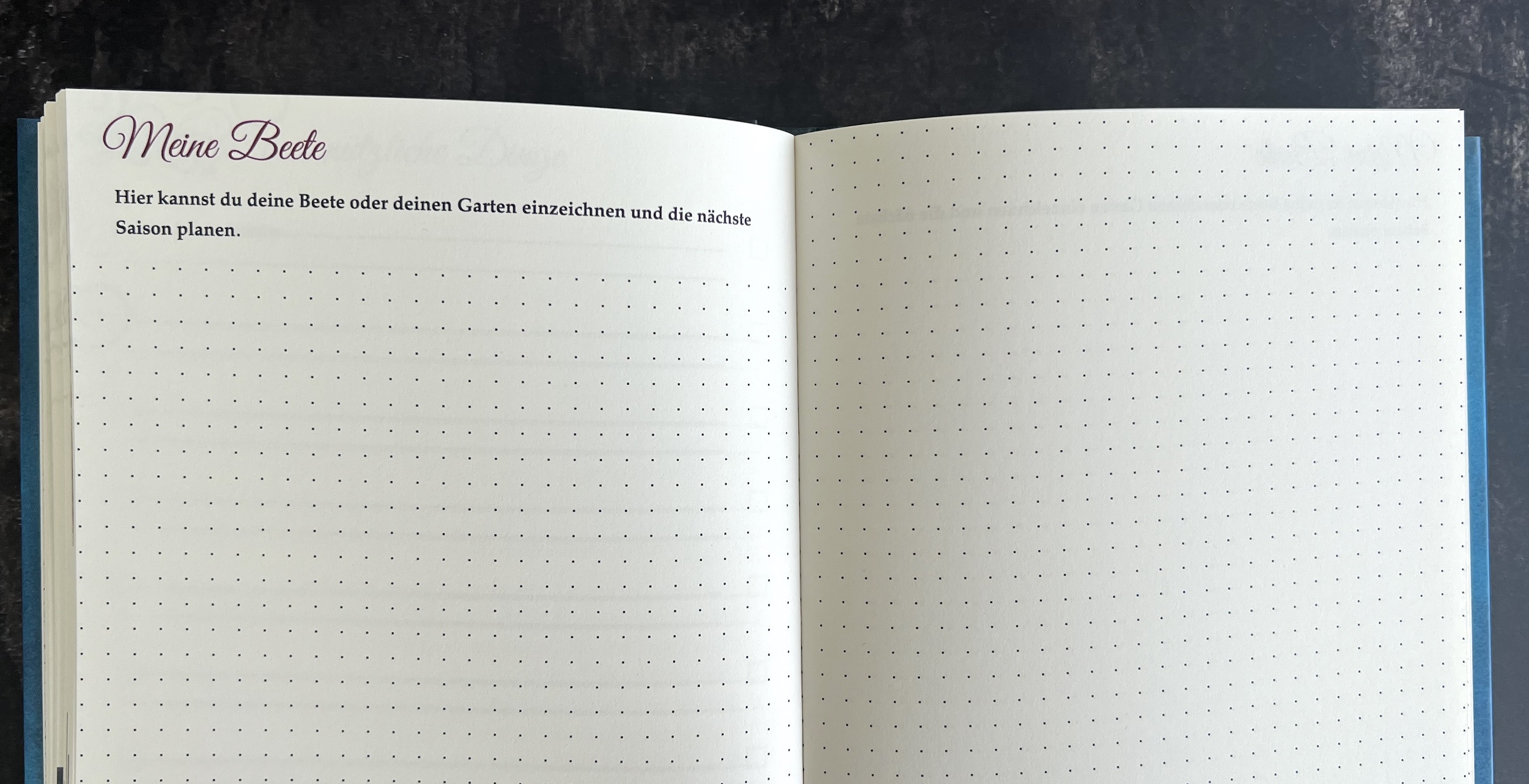 Der Planer für Tomaten und Garten 2026 – Bild 7