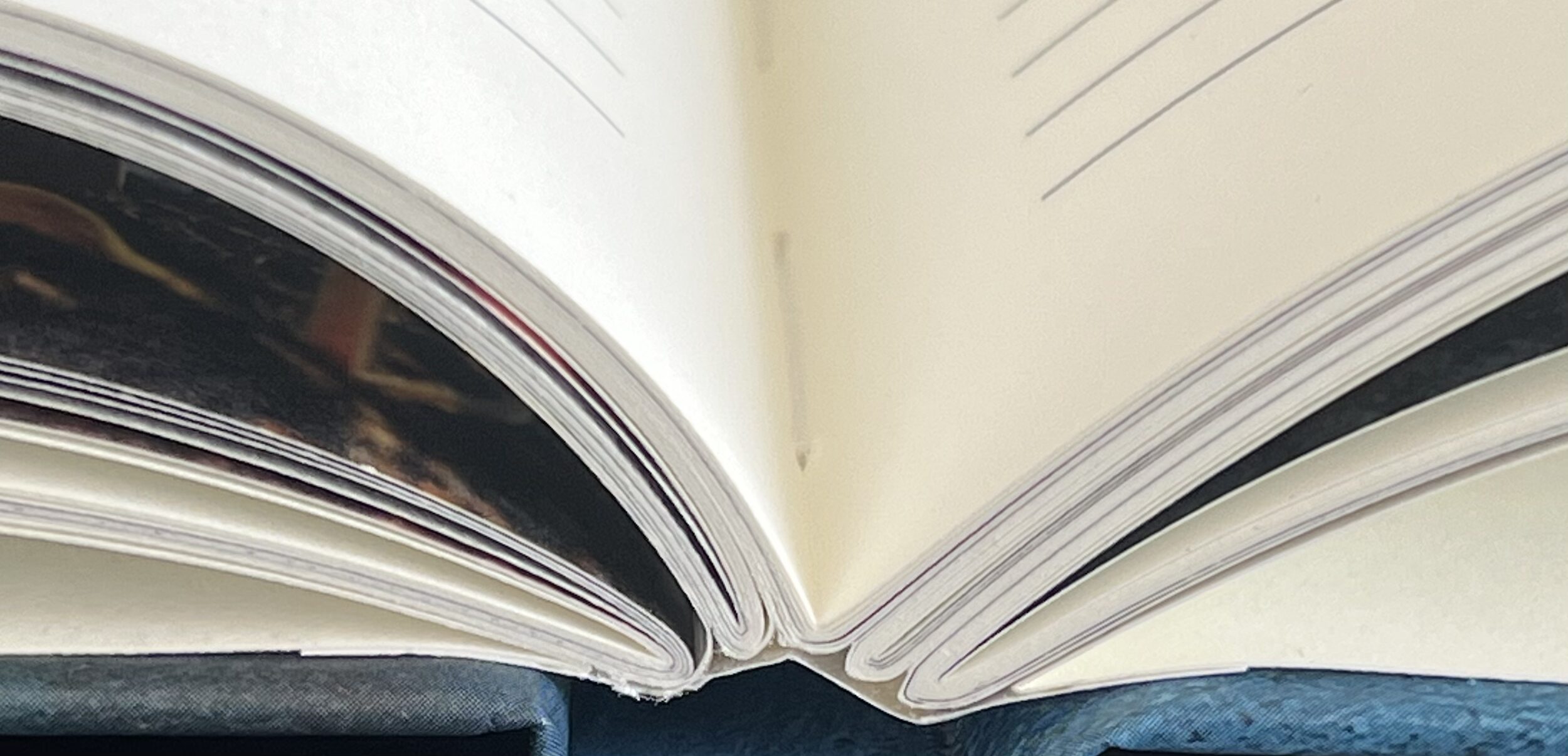 Der Planer für Tomaten und Garten 2026 – Bild 9