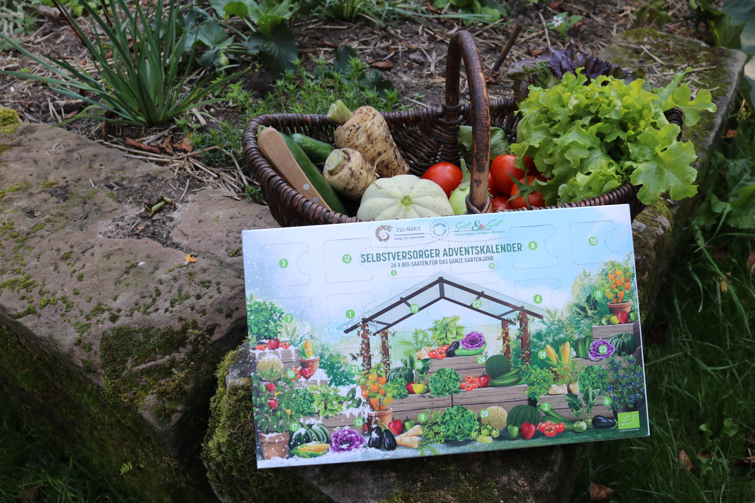 Bio-Saatgut Adventskalender "Selbstversorger" von Culinaris – Bild 4