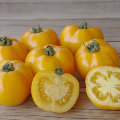 Bio-Saatgut Freiland-Tomate KS-TOT-CM-G2