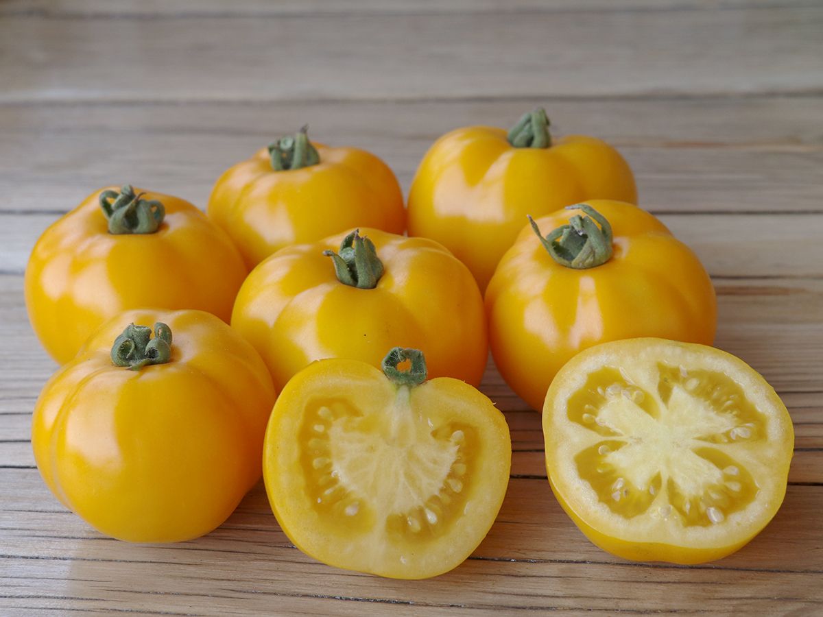 Bio-Saatgut Freiland-Tomate KS-TOT-CM-G2