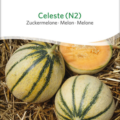 Bio-Saatgut Zuckermelone Celeste (N2)
