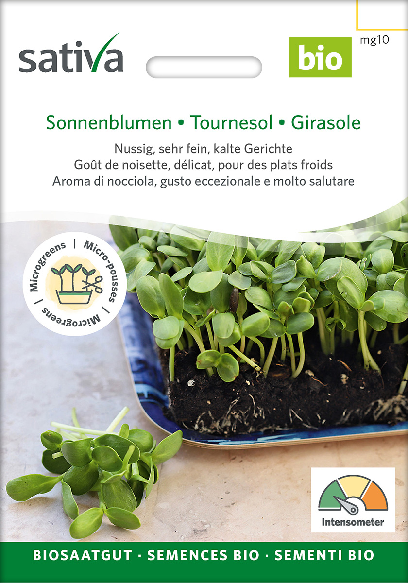 Bio-Saatgut Sonnenblumen (Microgreens) – Bild 2
