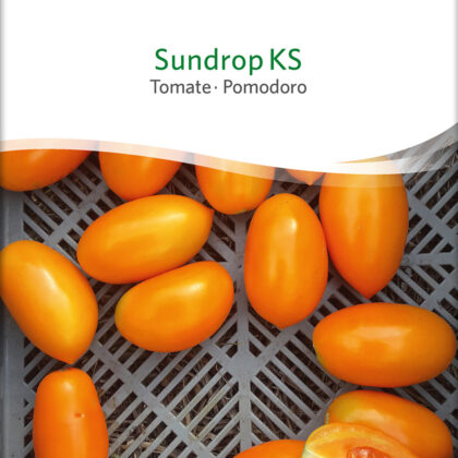 Bio-Saatgut Tomate Sundrop KS